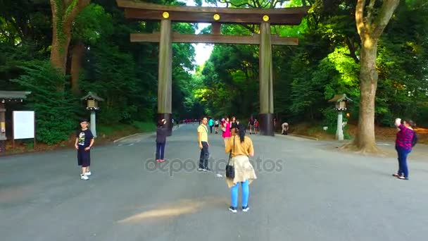 Tokio Japón Septiembre 2017 Puerta Torii Del Santuario Meiji Jingu — Vídeo de stock