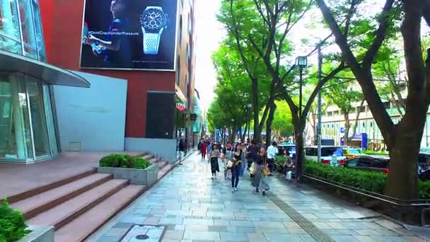 Tokyo Japonya Eylül 2017 Tokyo Omotesando Caddesi Japan Omotesando Tokyo — Stok video
