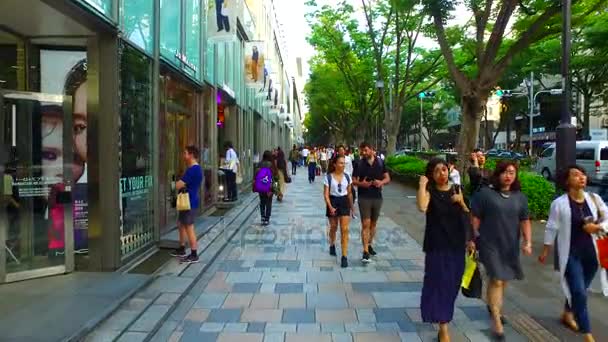 Tokyo Japonya Eylül 2017 Tokyo Omotesando Caddesi Japan Omotesando Tokyo — Stok video