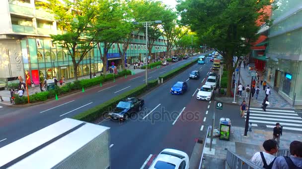 月27日 2017 東京の表参道通り 表参道は東京で最も心地のよい地区の一つです — ストック動画