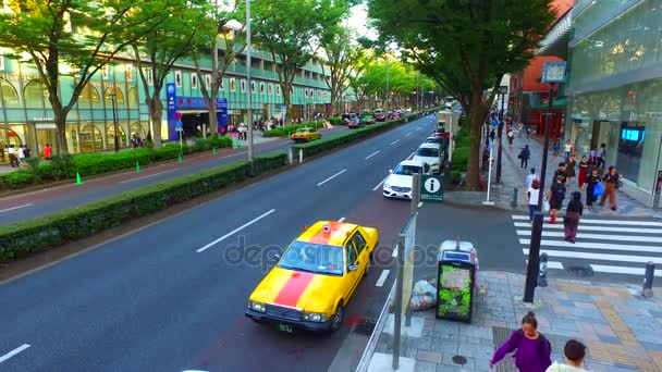 Tokyo Japonya Eylül 2017 Yukarıda Tokyo Japonya Omotesando Sokak Omotesando — Stok video