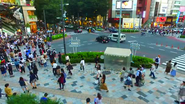 Tokyo Japonya Eylül 2017 Jingumae Tokyo Japonya Gece Yukarısında Geçiş — Stok video