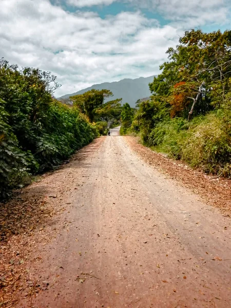 Estrada Nas Montanhas Paisagem Boquete Floresta Verde Céu — Fotografia de Stock