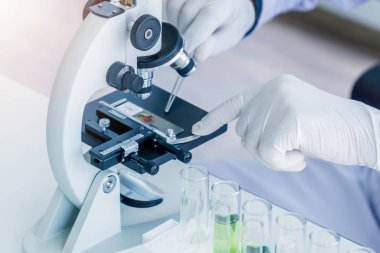 Lastik eldiven takan bilim adamları örnek örneği dikkatlice mikroskoba kaydırıyor.. 