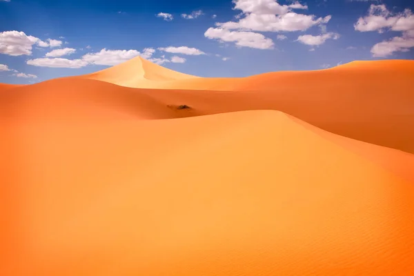 摩洛哥撒哈拉沙漠的色彩 — 图库照片