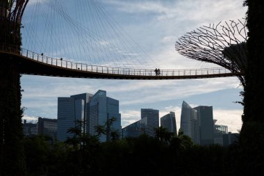 Körfezdeki Bahçeler 'deki Supertree Korusu