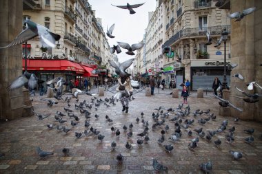 Paris, Fransa; 28 Ocak 2015: Paris caddesinde uçan güvercinler