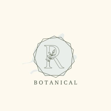 Botanik Yaprak İlk R Mektup Logosu, vektör logosu konsepti altıgen geometrik çerçeve botanik veya doğa işi için ilk harf logosu simgesi.