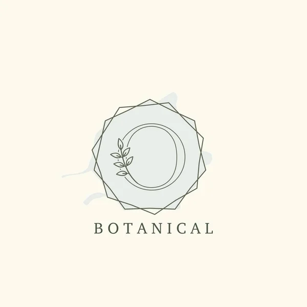 Botanik Yaprak Baş harfleri O Harfi Logosu, vektör logosu konsepti altıgen geometrik çerçeve botanik veya doğa işi için ilk harf logosu simgesi.