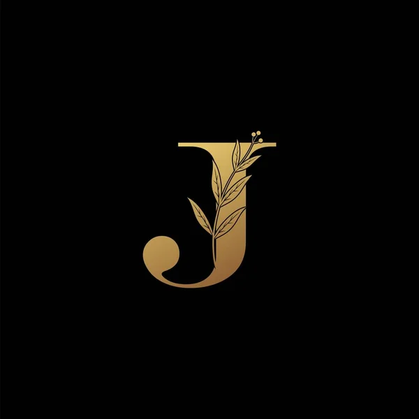 Luxury Initial Letter Cln Golden Gold Stock Vector (Royalty Free)  1526146928
