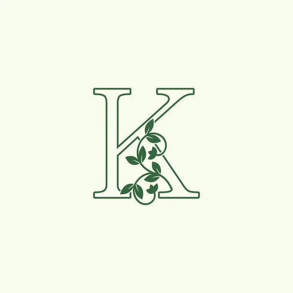 Charakter Litera Logo Ikona Antyczny Wektor Projekt Natura Liść Kwiatowy — Wektor stockowy