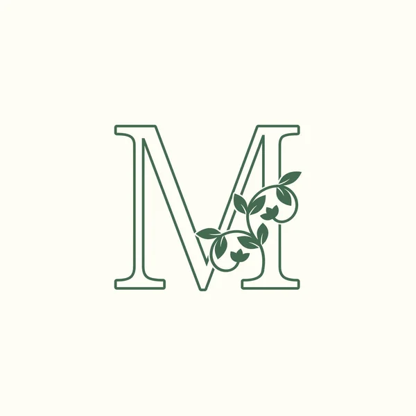 Naturaleza Letra Logo Icono Diseño Vectores Antiguos Naturaleza Floral Hoja — Vector de stock