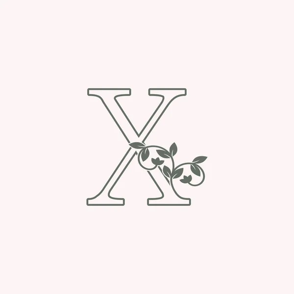 Nature Brief Logo Symbol Antikes Vektor Design Nature Floral Leaf — Stockvektor