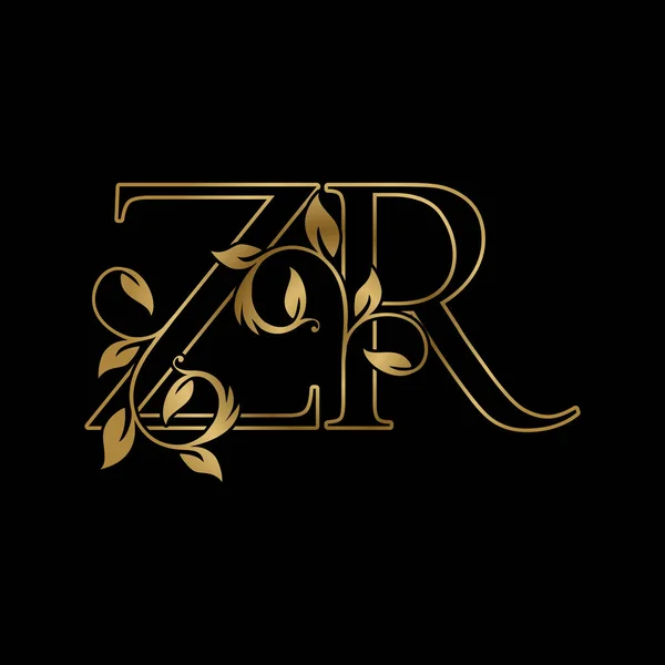 Złoty Zarys Początkowej Litery Luxury Logo Icon Vintage Gold Letter — Wektor stockowy