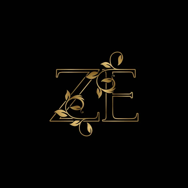 Goldene Umrisse Anfangsbuchstaben Und Luxury Logo Icon Vintage Gold Letter — Stockvektor