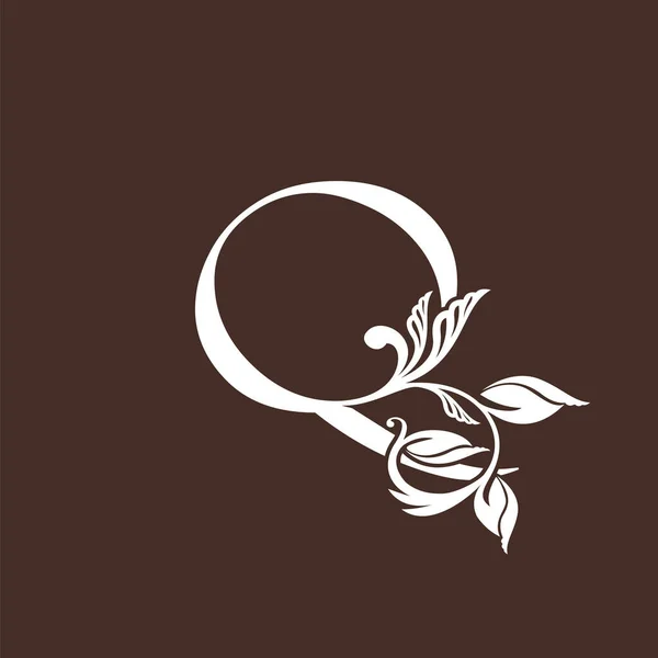 Буква Роскошный Логотип Дизайн Иконы Монограмма Винтажный Деревенский Богато Дизайн — стоковый вектор