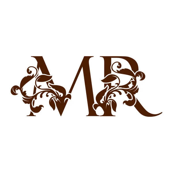 初始字母M和R Mr豪华标志图标 带有热带自然叶子元素的专题设计模板 — 图库矢量图片