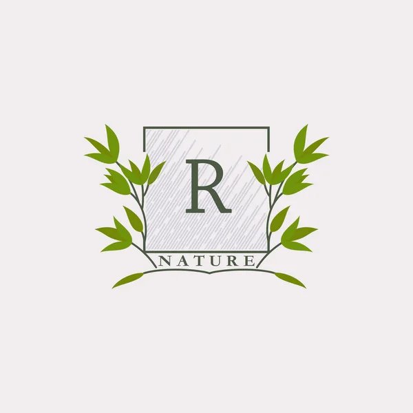 Πράσινο Eco Γράμματα Λογότυπο Φύλλα Τετράγωνο Σχήμα Αρχικά Βοτανικά Στοιχεία — Διανυσματικό Αρχείο
