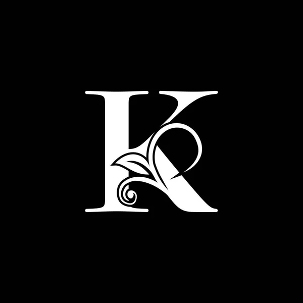 豪华字母K花叶标志图标 品牌标识的类单字向量设计概念 — 图库矢量图片