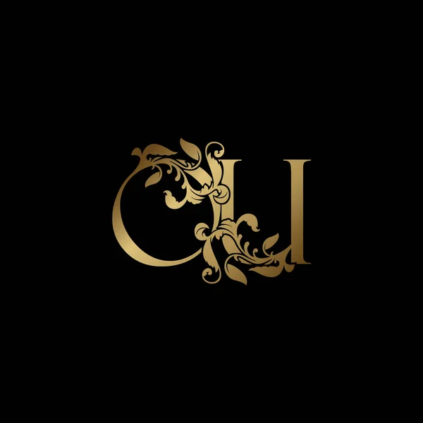 Elegantie Luxe Deco Letter Gouden Logo Vector Design Alfabet Lettertype — Stockvector