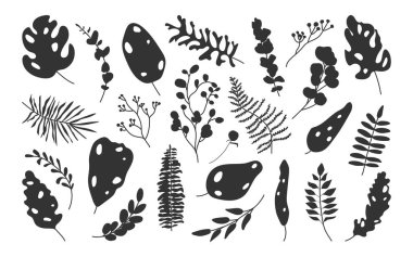 Tropik siluet yaprağı egzotik çiçek vektörü seti