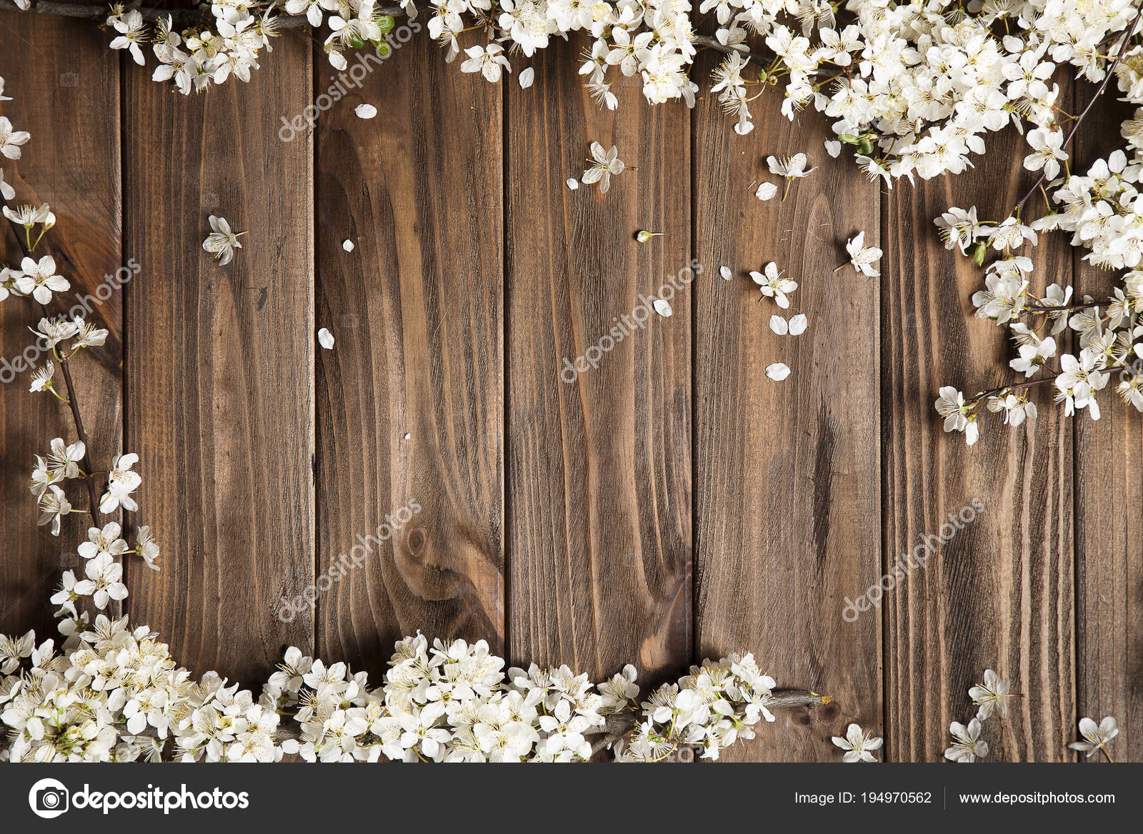 Flower wood мм2. Деревянный фон. Цветы на деревянном фоне. Деревянный фон с цветами. Фотофон дерево.