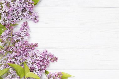 Beyaz ahşap zemin üzerine Eflatun çiçekler.