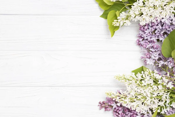 Flores lila sobre el fondo blanco de madera . — Foto de Stock