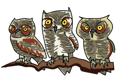 Beyaz üzerine tüneyen baykuşların el çizimi vektör çizimi