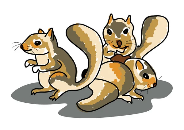 Hand Drawn Vector Illustration Cute Little Squirrels White — Stock Vector