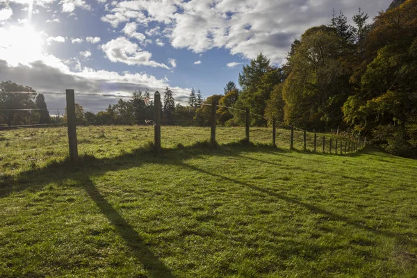 Bereketli yeşil çimlerle ve yemyeşil bir ormanın kenarındaki ahşap çitlerle dolu vadi manzarası güneşli bir günde beyaz bulutlu mavi gökyüzü.