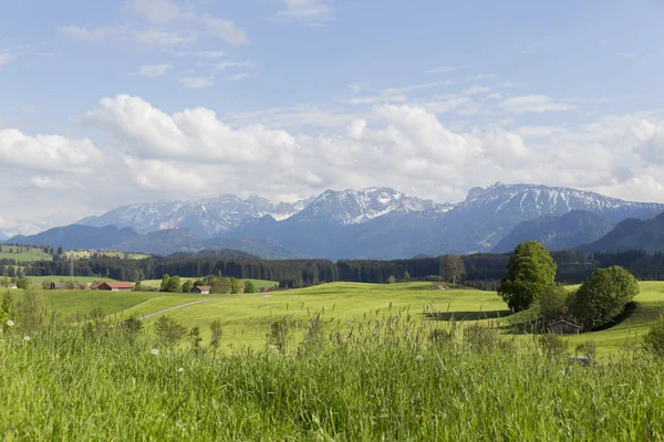 Paisaje Los Impresionantes Alpes Abundante Vegetación Verde Cielo Con Nubes —  Fotos de Stock