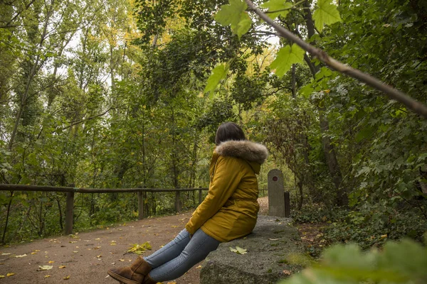woman with yellow coat, on her back, walks on a rainy day through a green park near the alcazar of Segovia