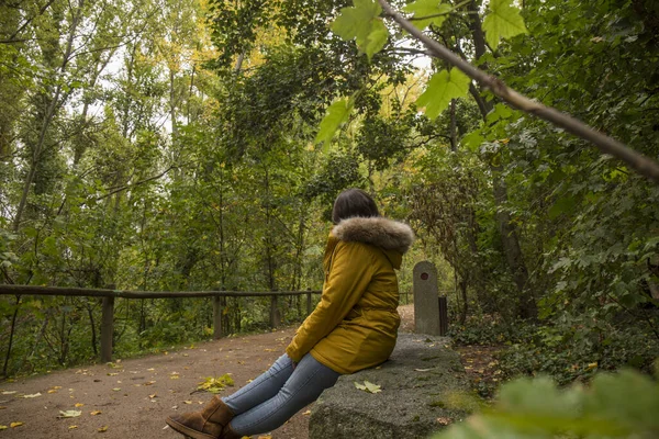 Sarı paltolu kadın, yağmurlu bir günde Segovia 'nın alcazar yakınlarındaki yeşil bir parkta yürüyor.