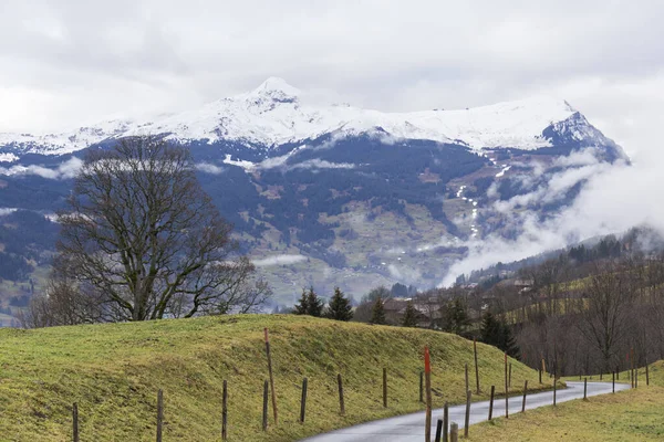 Strada Alta Montagna Cime Innevate Nebbia — Foto Stock