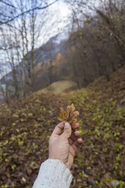 Main Homme Nous Montrant Paysage Automne Plein Feuilles Tombées Sur — Photo