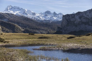 Picos de Europa 'nın çayırlarında karlı tepeleri olan dağların manzarası, açık ve güneşli bir günde, küçük bir dere de görebiliriz.