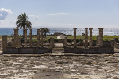 Roman archaeological site in which we can see ancient stone buildings with numerous columns facing the sea clipart