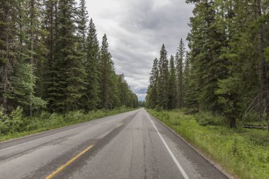 Çam ormanları ve yüksek dağlarda uzanan muhteşem yol manzaraları, sarı çizgileri olan Kanada yolları.