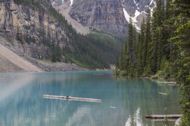 Turkuaz su gölü, ormanın ortasında, yüksek ağaçlar ve büyük dağlarla Kanada 'da yaz boyunca.