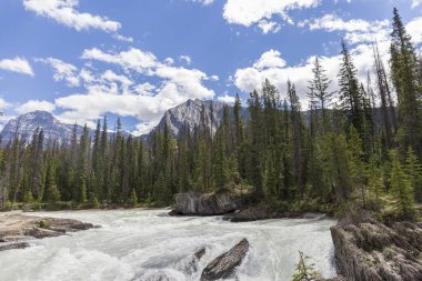 Turkuaz su nehri, kayalar, çam ağaçları ve küçük şelaleler arasındaki buzuldan geliyor.