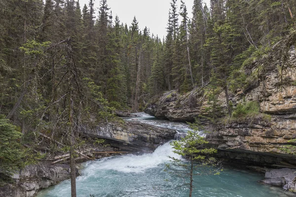 ターコイズブルーの水の川は岩と松の木と小さな滝の間の氷河から来ています — ストック写真