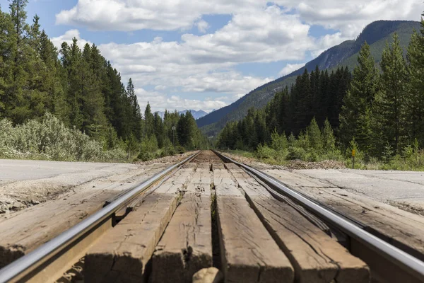 Kanada doğal parklarındaki ormanlar ve dağlar arasında uzanan tren rayları. Beyaz bulutların ve mavi gökyüzünün olduğu bir günde.