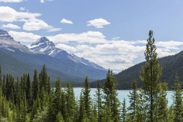 Lago Agua Turquesa Medio Bosque Con Árboles Altos Enormes Montañas —  Fotos de Stock