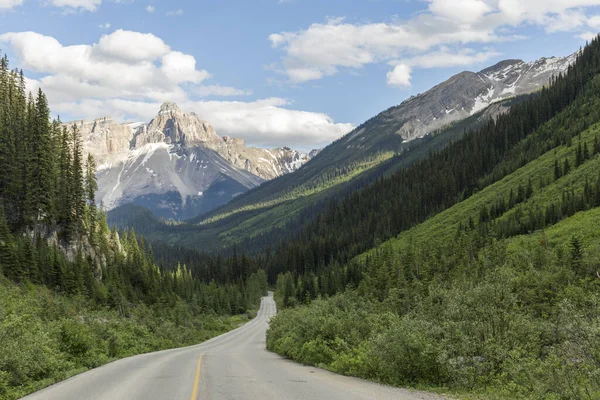 Spectacular Road Landscapes Run Pine Forests High Mountains Canadian Roads — Stock Photo, Image