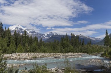 Erime sırasında çam ormanından akan nehir.
