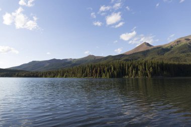 Erime sırasında çam ormanından akan nehir.