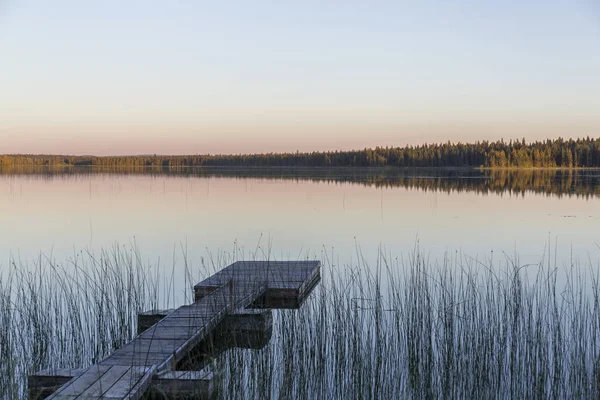 wooden jetty in a calm lake that looks like a mirror, in the background trees are reflected, next to the jetty reeds grow