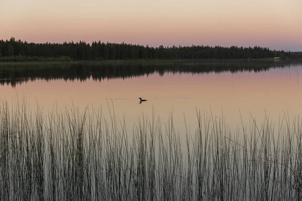 Lago Aguas Tranquilas Que Parece Espejo Atardecer Agua Refleja Contorno —  Fotos de Stock