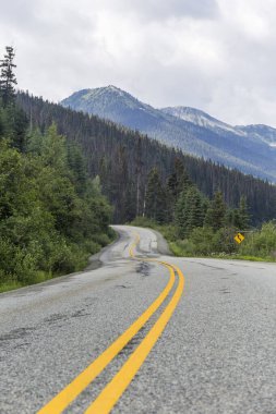 Kanada doğal parklarında yol, sarı çizgileri olan asfalt.